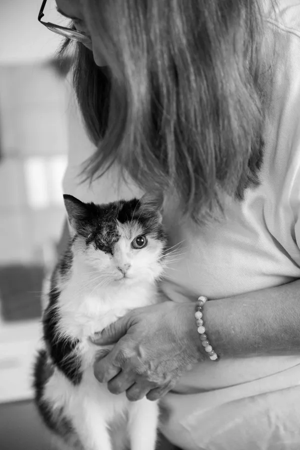 Schwarzweißfoto: Person hält eine dreifarbige Katze im Arm