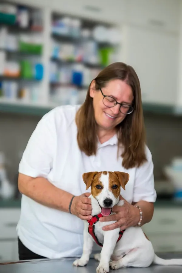 Tierärztin mit einem Jack-Russell-Welpen auf dem Untersuchungstisch