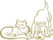 petfit